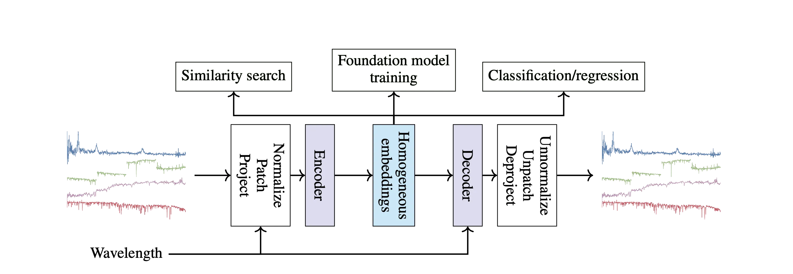 Spectral Tokenization